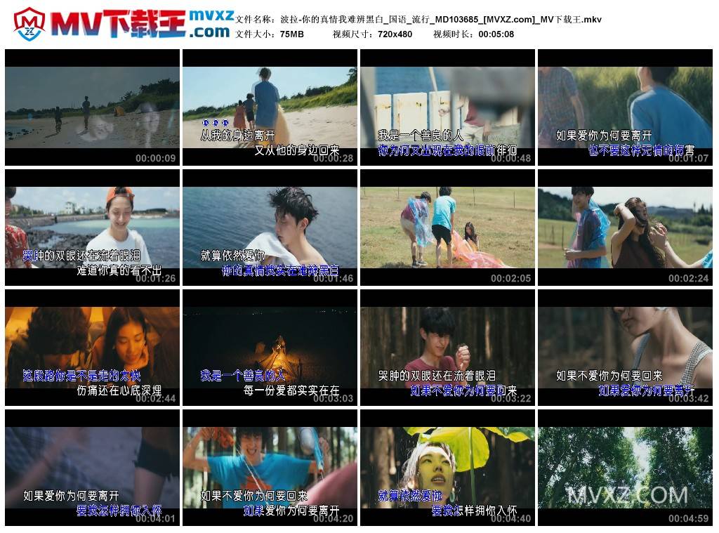 波拉-你的真情我难辨黑白_国语_流行_MD103685